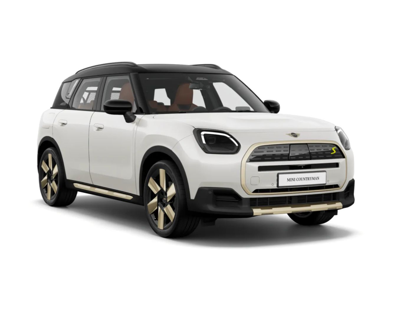 COUNTRYMAN S ELECTRIC